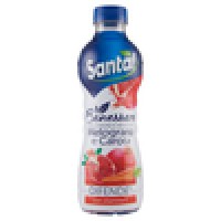 Santàl Benessere mix di frutta e verdura al Melograno e Carota