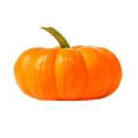 ZUCCA HALLOWEEN PICCOLA NON DECORATA (non commestibile)