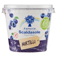 Fattoria Scaldasole Yogurt Magro Mirtillo