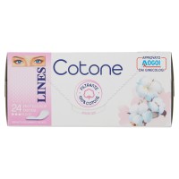 Lines Panty Cotone x24