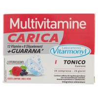 Laboratoires Vitarmonyl Multivitamine Carica  24 Compresse Effervescenti