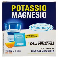 Laboratoires Vitarmonyl Potassio Magnesio