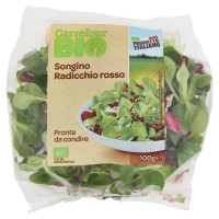 Carrefour Bio Songino Radicchio rosso