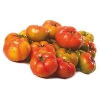 Pomodoro insalataro