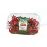 Pomodoro ciliegino a grappolo 