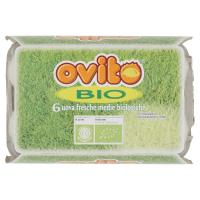 Ovito Bio