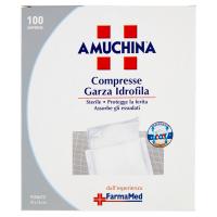 Amuchina Compresse Garza Idrofila 100 Compresse Formato
