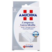 Amuchina Compresse Garza Idrofila