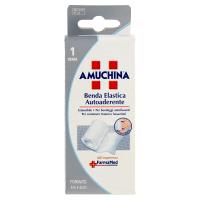 Amuchina Benda Elastica Autoaderente 1 Benda Formato 4m x