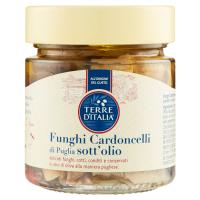 Terre d'Italia Funghi Cardoncelli di Puglia sott'olio