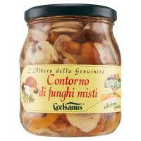 Coelsanus selezione speciale Contorno di funghi misti