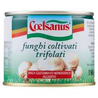 Coelsanus funghi coltivati trifolati