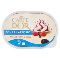 Carte D'Or Senza Lattosio Panna e Frutti di Bosco