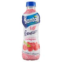 Santal Benessere mix di frutta al Lampone