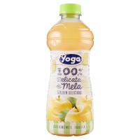 Yoga 100% Delicata di Mela Golden Delicious
