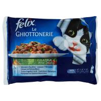 PURINA FELIX Le GHIOTTONERIE Con Salmone e Zucchine e con Trota e Fagiolini Verdi in Gelatina