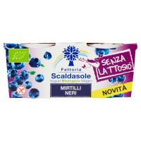 Fattoria Scaldasole Yogurt Biologico Magro Mirtilli Neri Senza Lattosio°