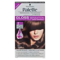Palette Gloss Sensation