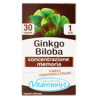 Laboratoires Vitarmonyl Ginkgo Biloba 30 capsule: