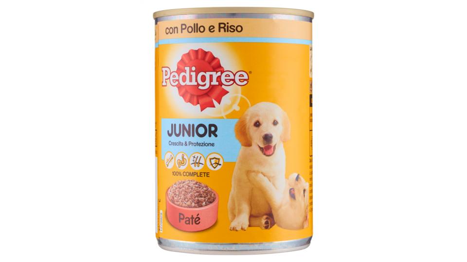 pedigree junior