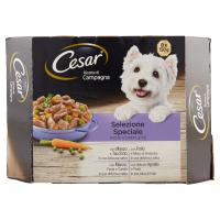 Cesar Ricette di Campagna Selezione Speciale100% Complete
