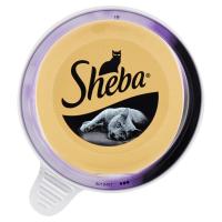 Sheba con Filetti di Tonno e Gamberi