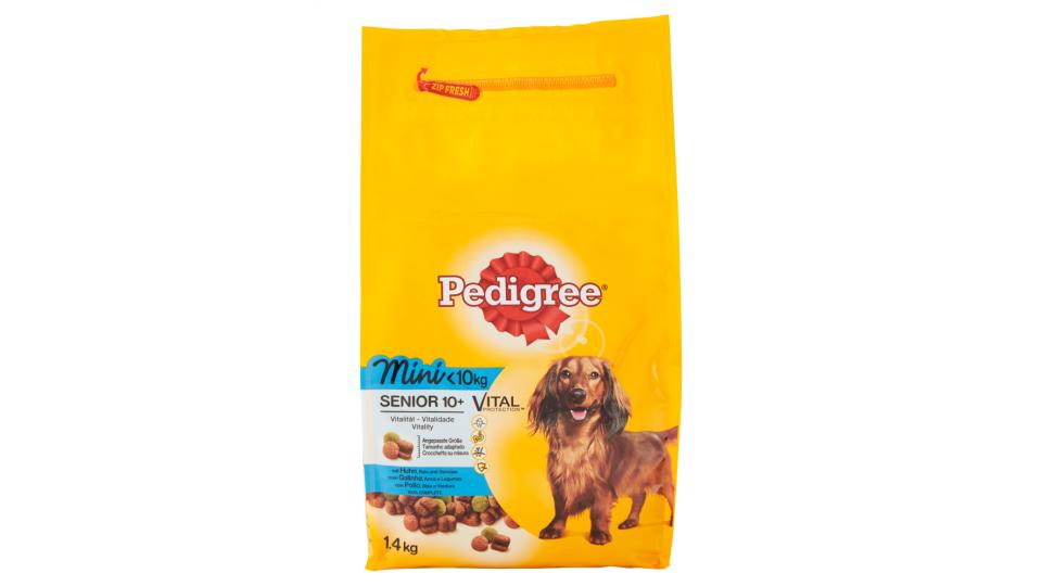 Pedigree Vital Protection Mini <10kg Senior 10+ con Pollo, Riso e Verdure