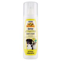 Pet Company Attrattivo Cani e Gatti