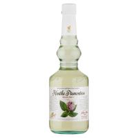 Vincenzi Sciroppo di Puro Zucchero Mentha Piemontese