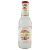Le Autentiche di Bevipiùnaturale Gingerlime