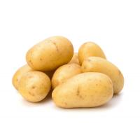 Patate Pasta Gialla