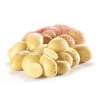 Patate per tutti gli usi