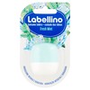 Labellino balsamo labbra Fresh Mint