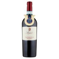 Villa Mondi Valpolicella Ripasso DOC Classico Superiore