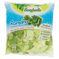 Bonduelle Romana