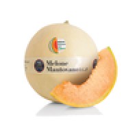 Melone Mantovano