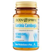 Body Spring, Garcinia Cambogia