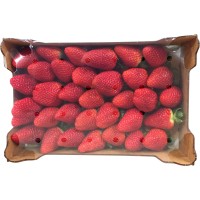 Fragole, confezionate cassetta