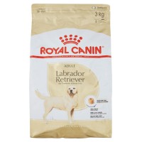 Royal Canin Adult Labrador Retriever Over 15 months old