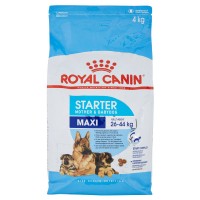 Royal Canin Starter Mother & Babydog Maxi Adul Weight 26-44 kg