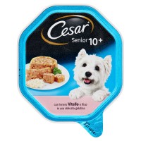 Cesar, cane Senior 10+ alimento in gelatina con con vitello e riso