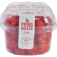 Lamponi Premium
