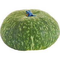 Zucca allo iodio, confezionata 