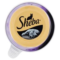 Sheba, gatto Filetti di tonno e gamberi