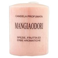 Candela Mangiaodori profumata, spezie, frutta ed erbe aromatiche
