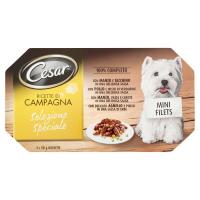 Cesar, cane Ricette di campagna selezione speciale