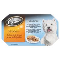 Cesar, cane Senior 10+