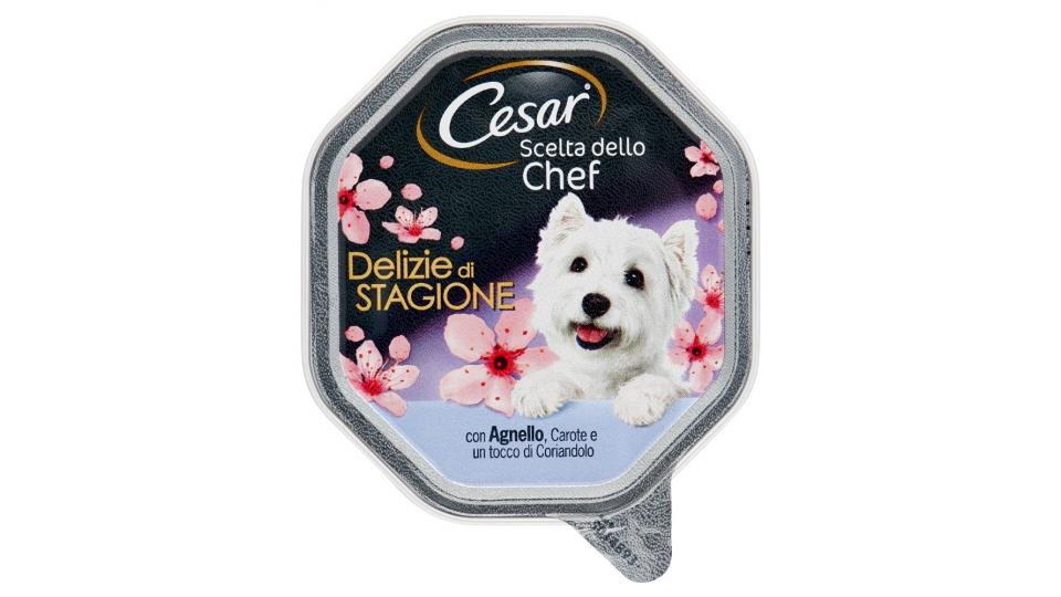 Cesar, cane Scelta dello Chef Delizie di Stagione alimento con agnello carote e coriandolo