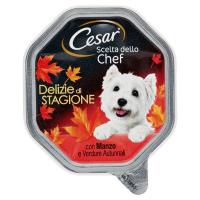 Cesar, cane Scelta dello Chef Delizie di Stagione alimento con Manzo e verdure autunnali