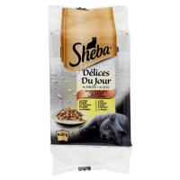 Sheba, gatto Délices Du Jour alimento in Salsa Selezione Delicata con verdure